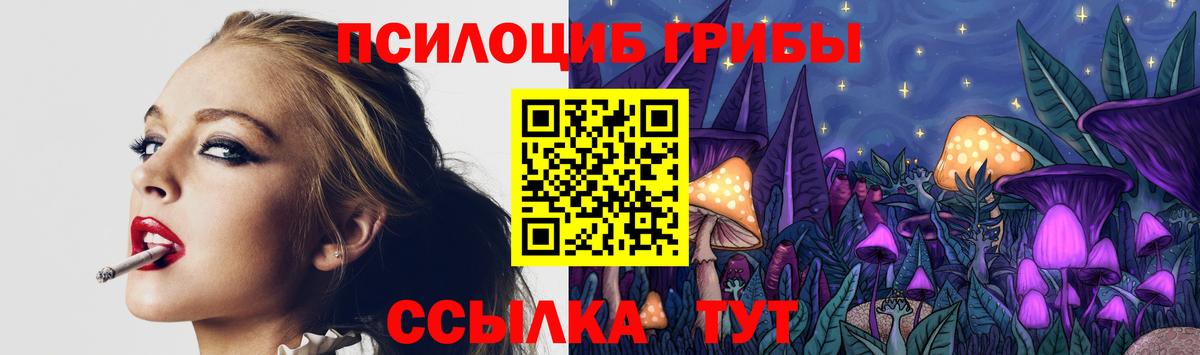 Галлюциногенные грибы мицелий Петрозаводск