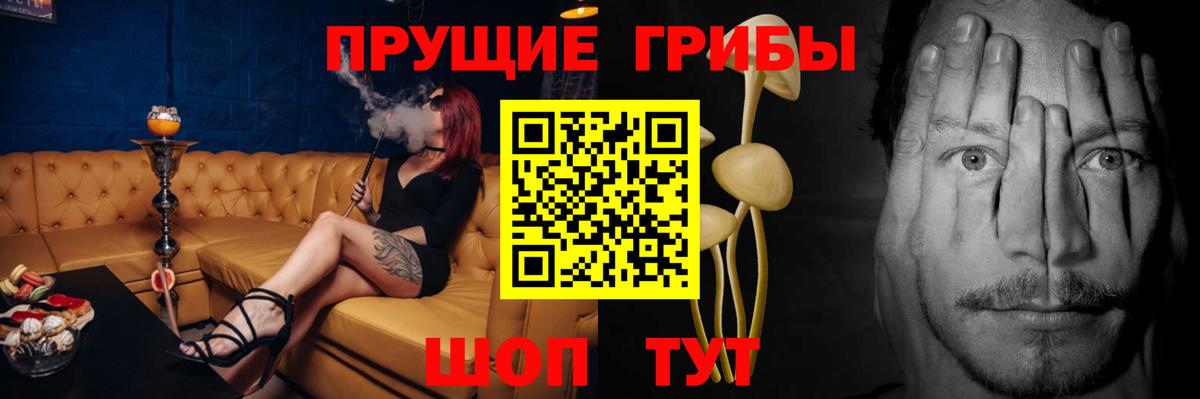 Петрозаводск  Галлюциногенные грибы GOLDEN TEACHER  Вход с VPN  Галлюциногенные грибы Psilocybine cubensis 